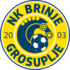 Nk Brinje Grosuplje