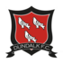 Dundalk logo