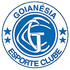 Goianesia