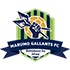 Marumo Gallants logo