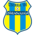 FC Unirea Slobozia logo