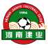 Henan FC logo